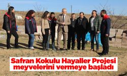 Safran Kokulu Hayaller Projesi meyvelerini vermeye başladı