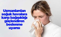 Uzmanlardan soğuk havalara karşı bağışıklığı güçlendiren beslenme uyarısı