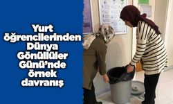 Yurt öğrencilerinden Dünya Gönüllüler Günü’nde örnek davranış