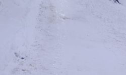 850'e yakın köy yolu araç ulaşımına kapandı