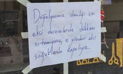 Esnaf, soğuk günlerde ısıtamadığı dükkanını açmıyor