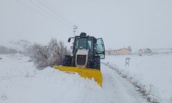 Kar yağışı başladı tedbirler arttırıldı