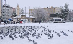 Kar yağışı sevindirirken kartpostallık manzaralar oluştu