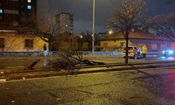 Kazada savrulan otomobil ağacı ikiye böldü: 4 yaralı