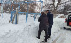 Sokak hayvanlarına mama desteği