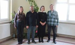 Üç yeni endemik fare türü keşfedildi