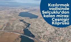 Kızılırmak vadisinde Selçuklu'dan kalan miras: Çeşnigir Köprüsü