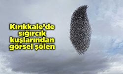 Kırıkkale’de sığırcık kuşlarından görsel şölen