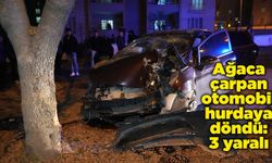 Ağaca çarpan otomobil hurdaya döndü: 3 yaralı