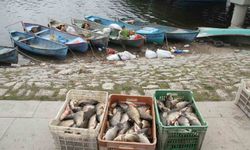 Beyşehir Gölü'nde av yasağı başlıyor