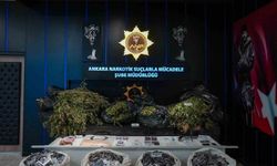 Narkotik operasyonu: 105 gözaltı