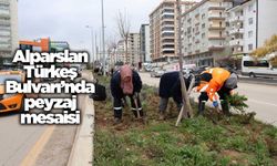 Alparslan Türkeş Bulvarı’nda peyzaj mesaisi