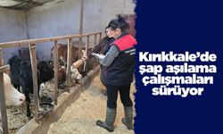 Kırıkkale’de şap aşılama çalışmaları sürüyor
