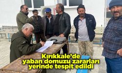 Kırıkkale’de yaban domuzu zararları yerinde tespit edildi