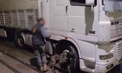 12 kilo uyuşturucu ele geçirildi: 2 tutuklama