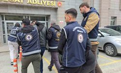 53 düzensiz göçmen yakalandı