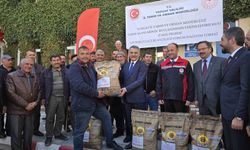 676 paket yerli ve milli ayçiçeği tohumu dağıtıldı