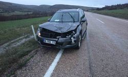 Aracın çarptığı geyik telef oldu