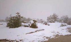 Baharı beklerken kar geldi