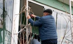 Geçen yıl don vurmuştu, üzüm üreticisi bu yıl umutlu