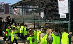 Minikler için doğada eğlence ve eğitim bir arada