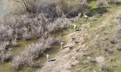 Sır gibi kayıp: 5 gündür iz yok