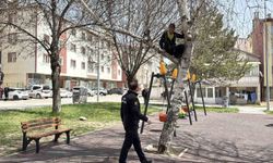 Topu almak için çıktığı ağaçtan inemeyen çocuk itfaiyeden yardım istedi