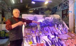 Yasak başladı, balık fiyatlarında henüz bir artış yok