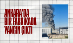 Ankara'da bir fabrikada yangın çıktı