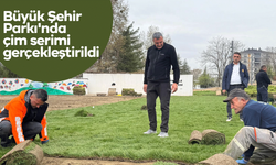 Büyük Şehir Parkı'nda çim serimi gerçekleştirildi