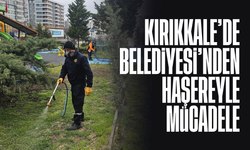 Kırıkkale Belediyesi'nden haşereyle mücadele