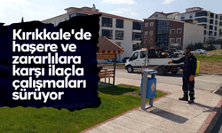 Kırıkkale'de haşere ve zararlılara karşı ilaçla çalışmaları sürüyor
