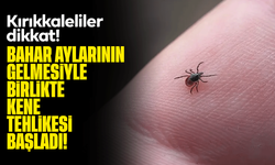 Kırıkkaleliler dikkat! Bahar aylarının gelmesiyle birlikte kene tehlikesi başladı!