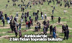 Kırıkkale’de 2 bin fidan toprakla buluştu