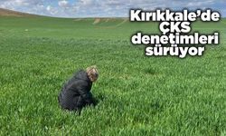 Kırıkkale’de ÇKS denetimleri sürüyor