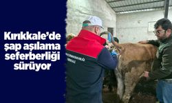 Kırıkkale’de şap aşılama seferberliği sürüyor