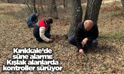 Kırıkkale’de Süne Alarmı: Kışlak Alanlarda Kontroller Sürüyor