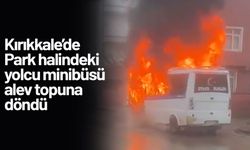 Park halindeki yolcu minibüsü alev topuna döndü