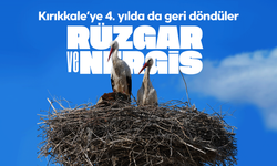 Esnafın merakla beklediği Rüzgar ve Nergis, 4'üncü yılında da aynı yuvaya döndü
