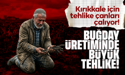 Buğday Üretiminde Büyük Tehlike!