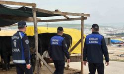 Kurban pazarlarında denetim aralıksız sürüyor