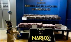Narkotik operasyonu: 85 bin adet hap ele geçirildi