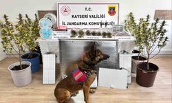 Uyuşturucu operasyonu