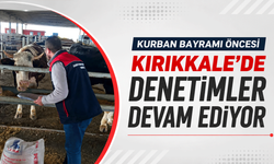 Kurban Bayramı öncesi Kırıkkale'de denetimler devam ediyor