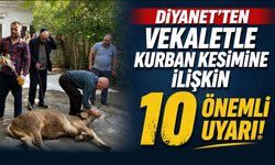 Diyanet’ten Vekaletle Kurban Kesimine İlişkin 10 Önemli Uyarı