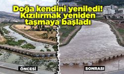 Doğa kendini yeniledi! Kızılırmak yeniden taşmaya başladı