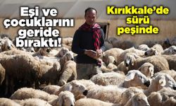 Eşi ve çocuklarını geride bıraktı! Şimdi Kırıkkale’de sürü peşinde