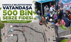 Kırıkkale Belediyesi’nden vatandaşa 500 bin sebze fidesi