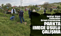 Işıklar Köyü Halkından Örnek Dayanışma: Parkta İmece Usulü Çalışma