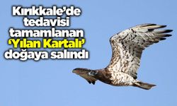Kırıkkale’de tedavisi tamamlanan ‘Yılan Kartalı’ doğaya salındı